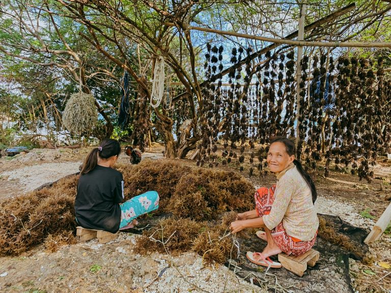 TIG-2023-MarthaAtienza_seaweed-9.jpg