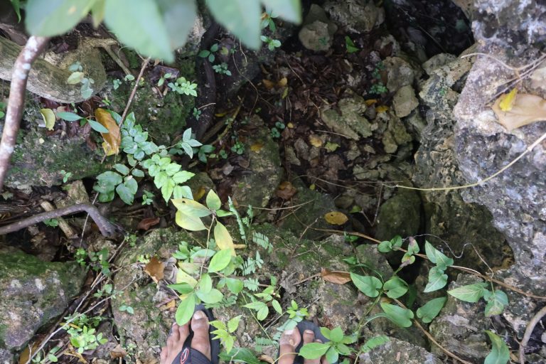 bihiya